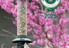 1134-wbfi-product-green-seed-tray-EN_fc83fae2-9d73-48a2-9189-14f48b6ba132_1220x_crop_center