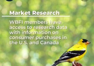 Market Research